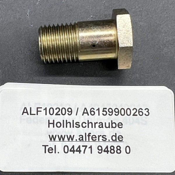 www.alfers.de_Hohlschraube_A6159900263